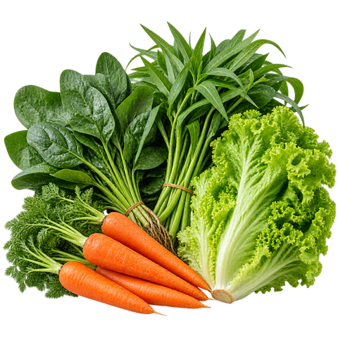 Sayur Segar